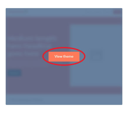 View Theme Hubspot Settings